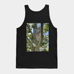 Airplant Tank Top